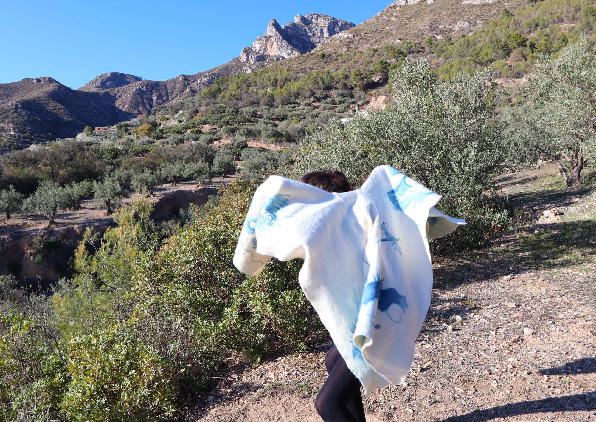 terristoires terristoires